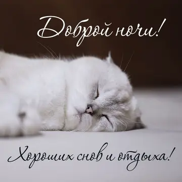 Гера tweet media