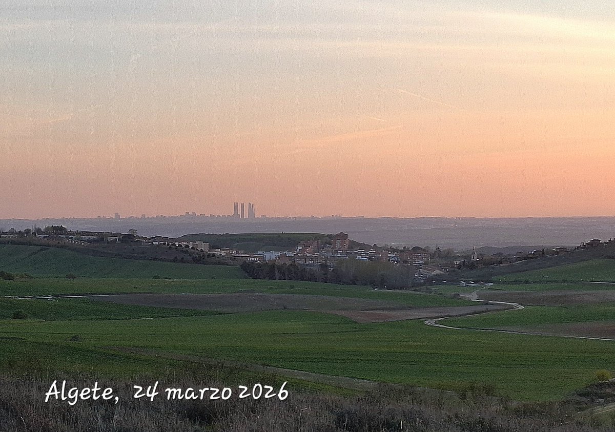 MAF Algete tweet media