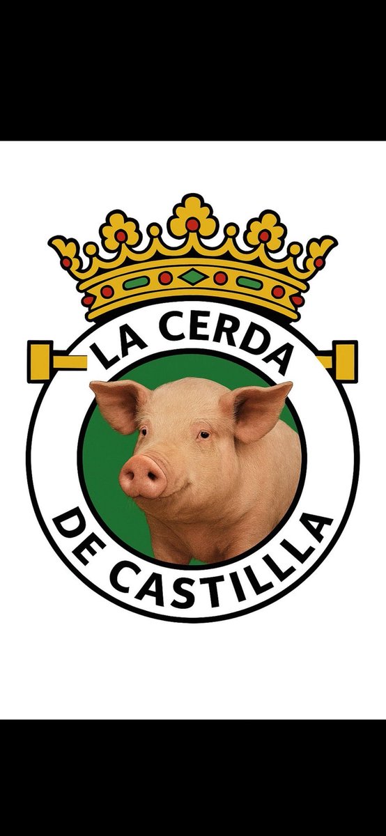 Reciovic tweet media