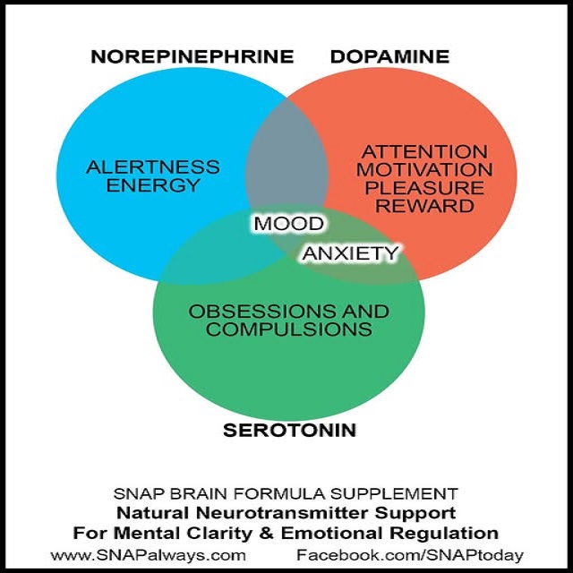 SNAP Brain Health Supplements tweet media