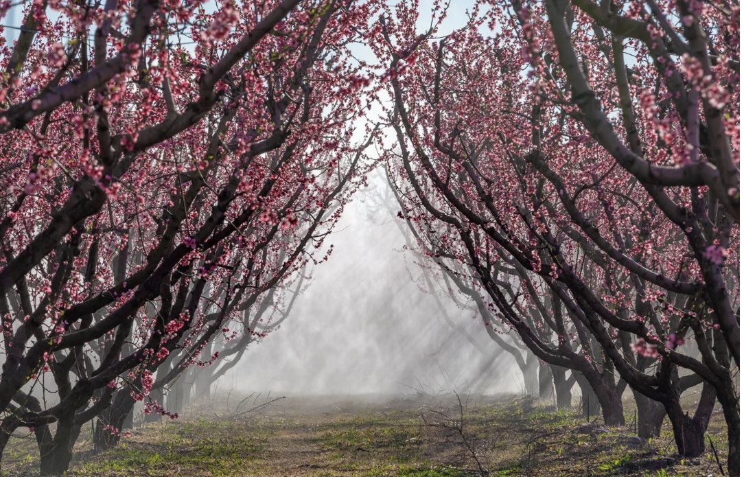 Andreas Demetriou tweet media