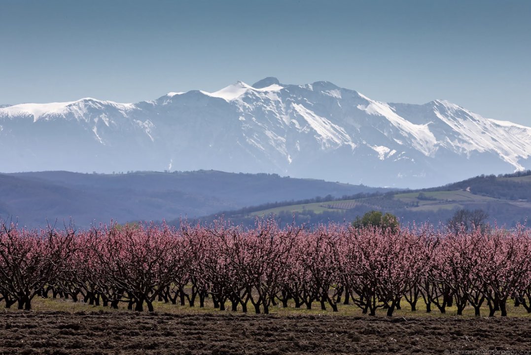 Andreas Demetriou tweet media