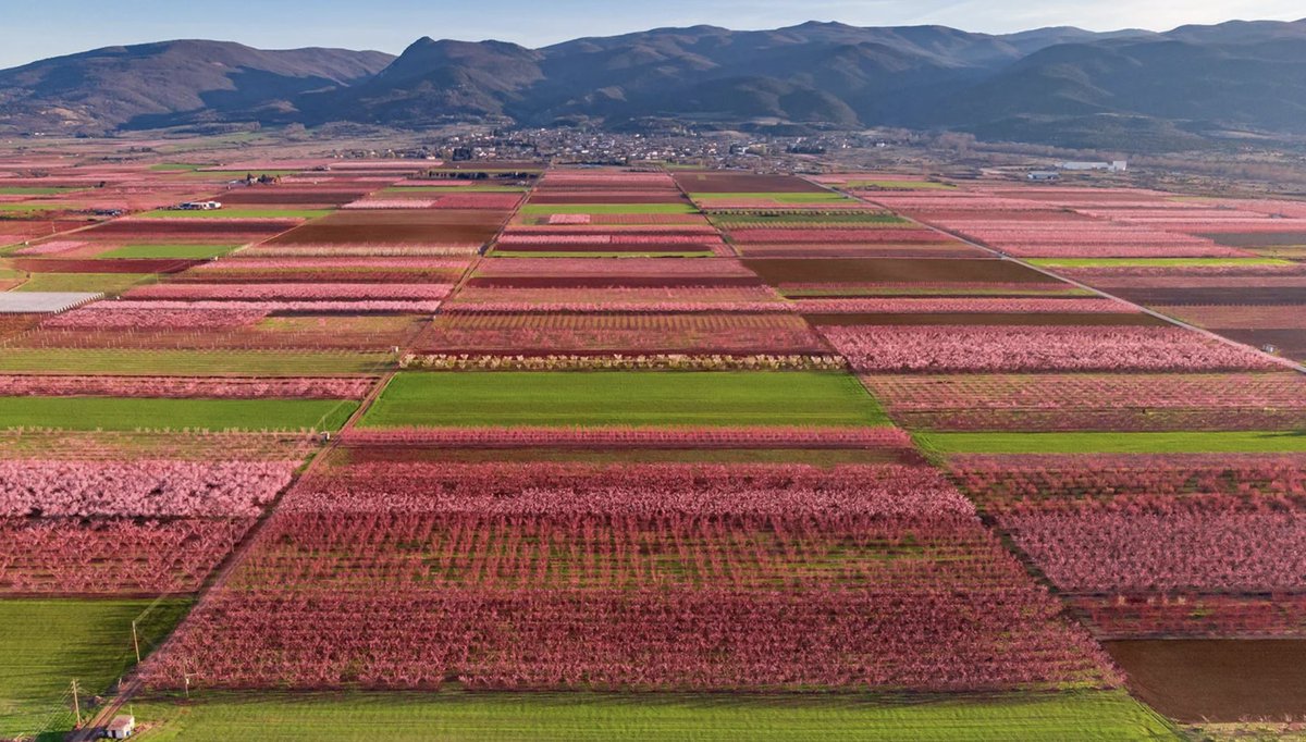 Andreas Demetriou tweet media
