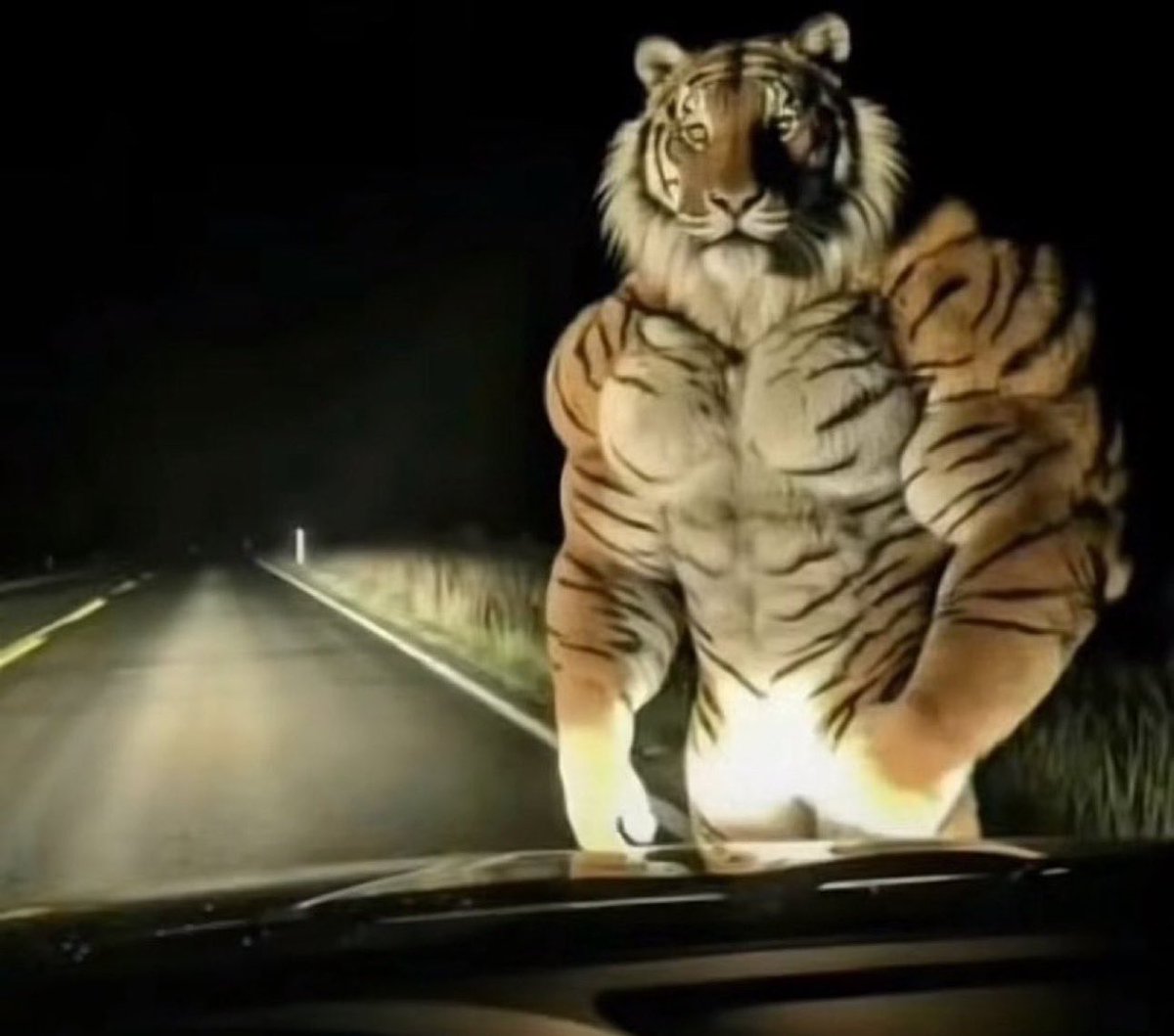 Cryptoshi tweet media