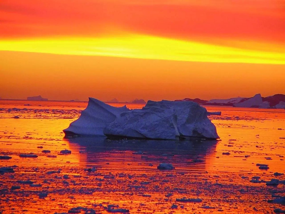 Andrey Nenov tweet media