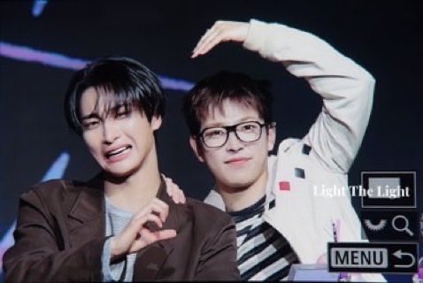 🌲🦌🍄 tweet media