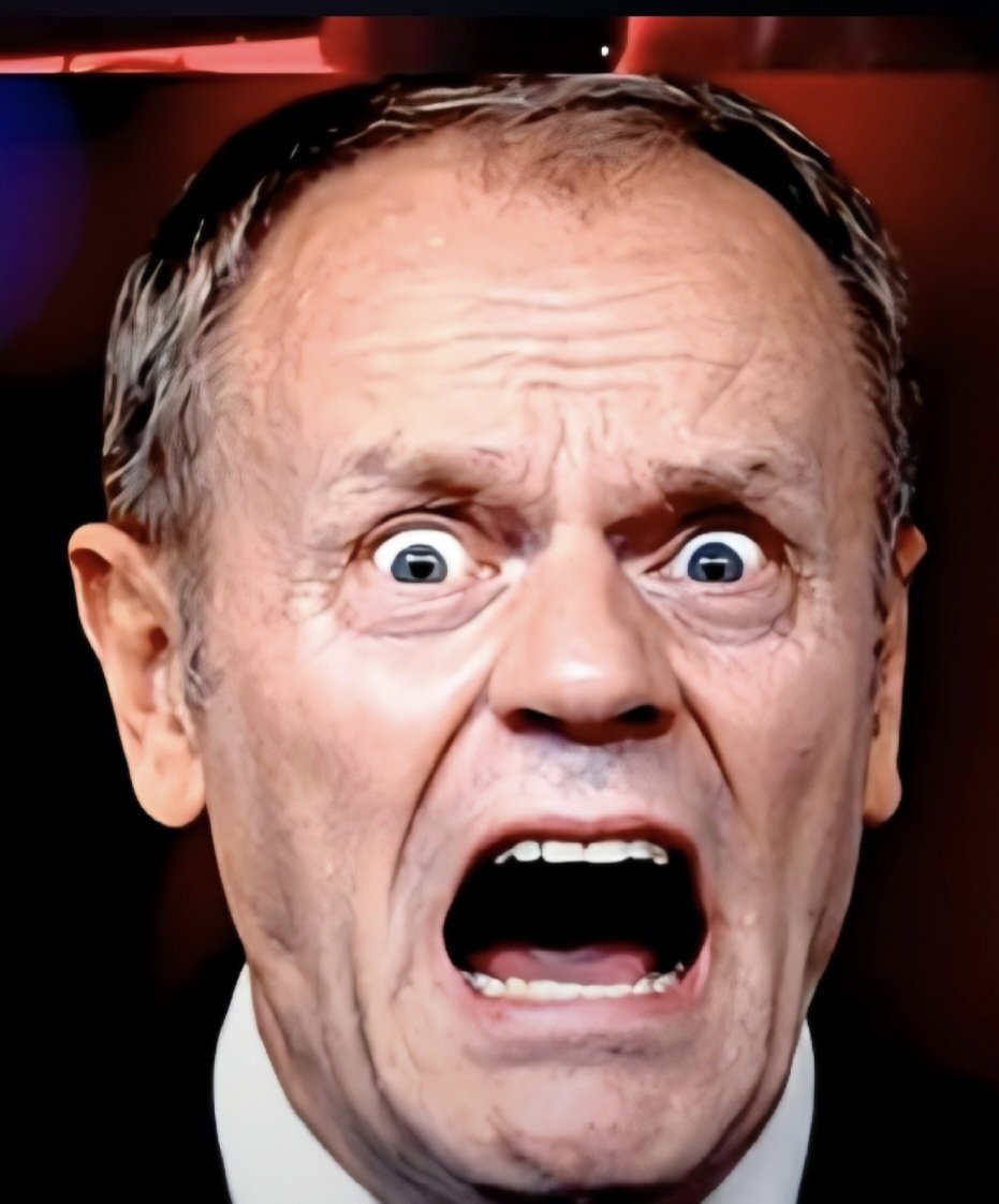 Władysław _patriota_ #nawrocki2025 🇵🇱 tweet media