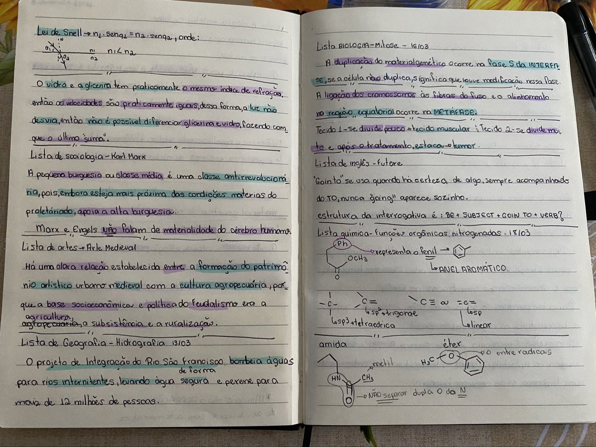 fefe⁷ 🪷 | MED UFMG tweet media