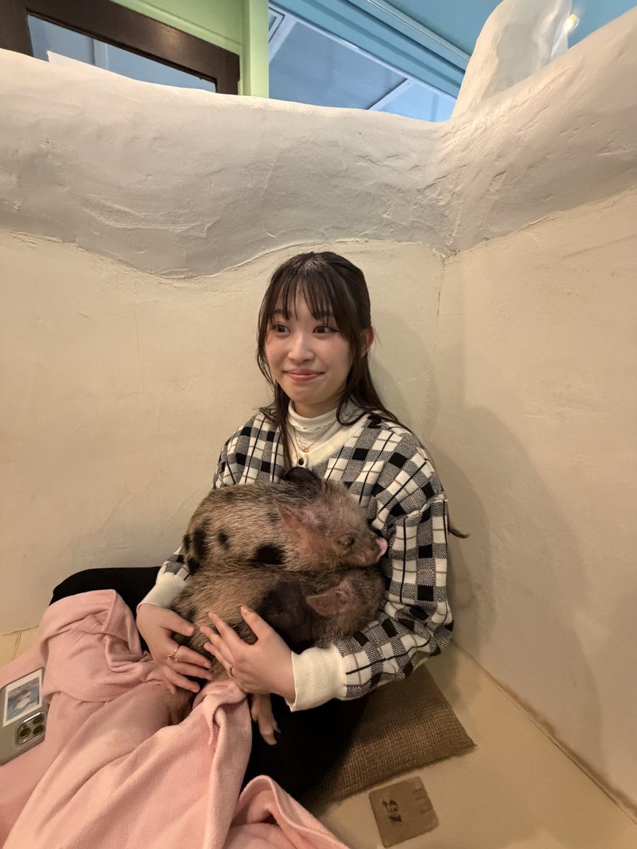 あいらさん🦪@ホイネキ tweet media