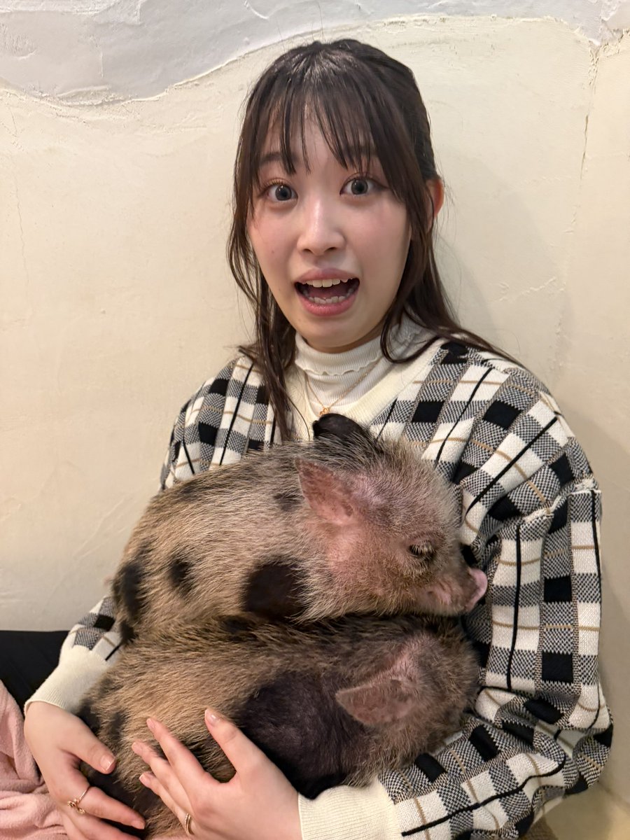 あいらさん🦪@ホイネキ tweet media