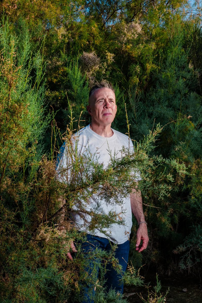 Damin Toell tweet media