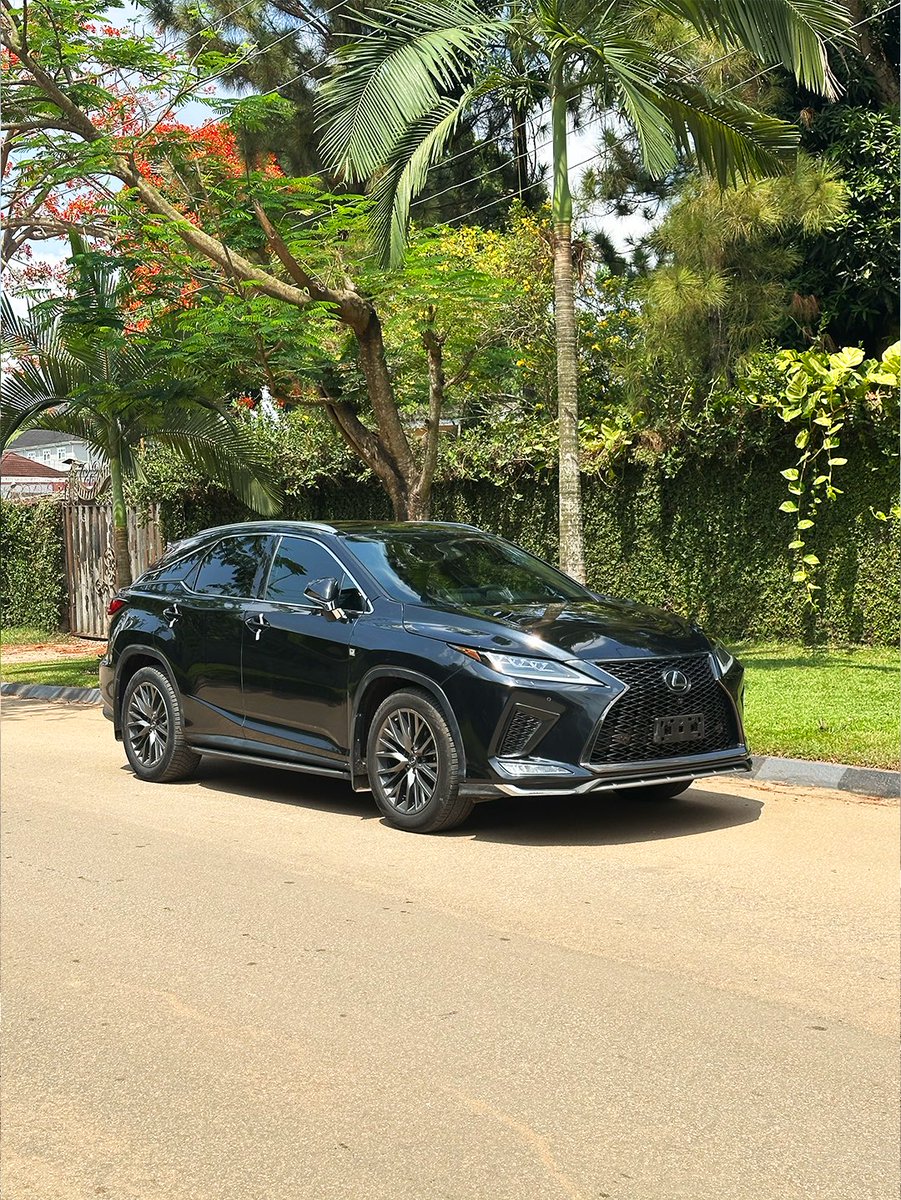 Techriz💯📈 tweet media