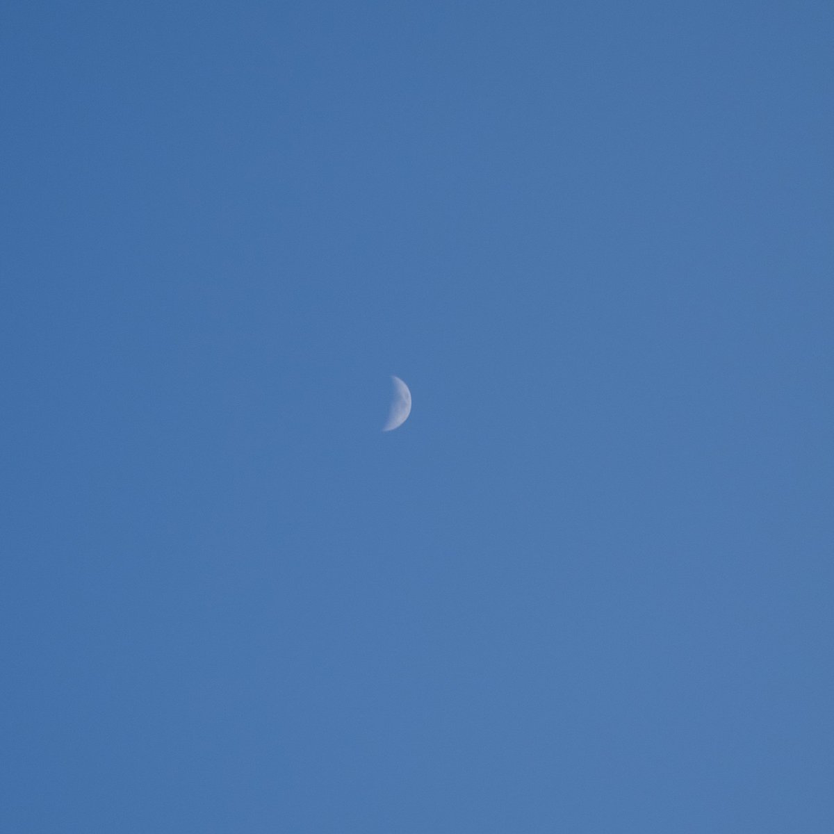 Той самий tweet media