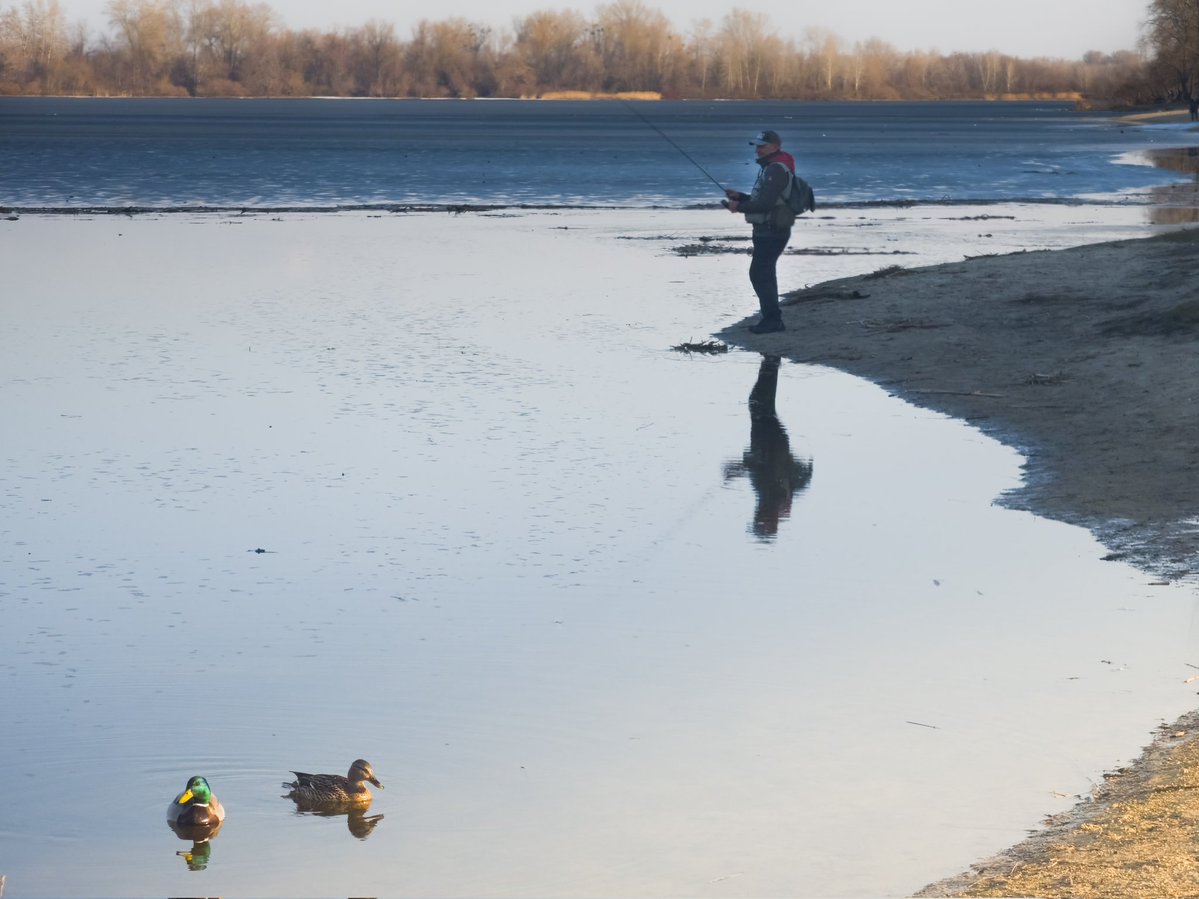 Той самий tweet media