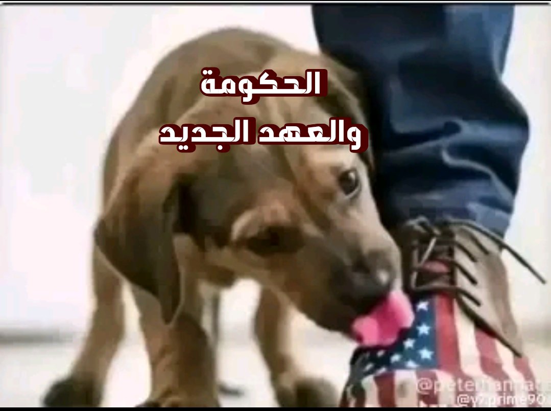 AdamMoubarak3's tweet photo. @roufayel https://t.co/KbRzz261vD