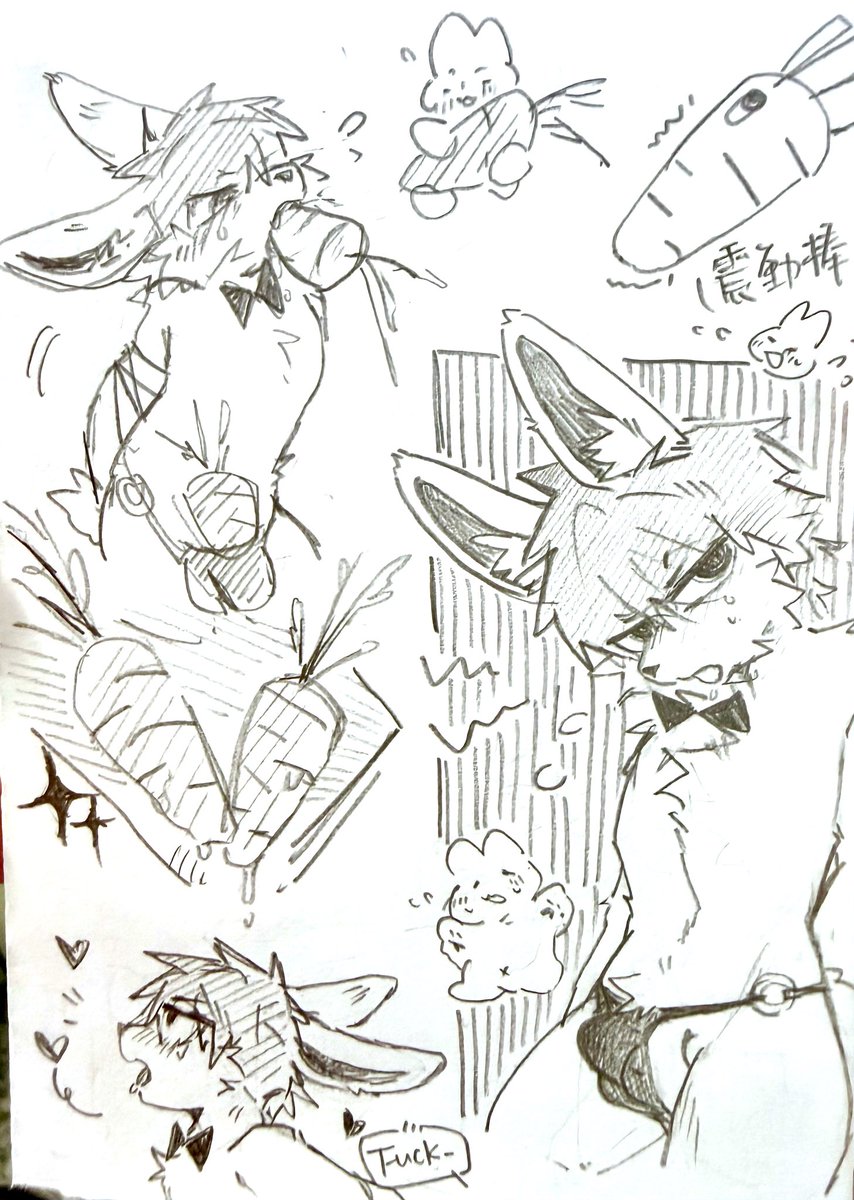 杜松Gin tweet media