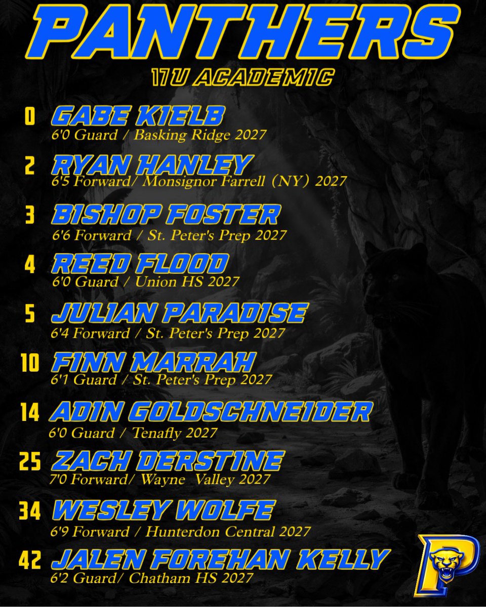 ThePanthersBC's tweet photo. Excited to unveil our 17U Academic group for this summer! Arguably our most talented Academic team to date. #earnit https://t.co/sg8KWbeL44