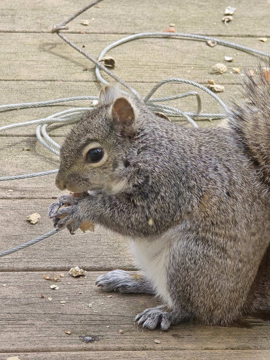 Garyos18 tweet media