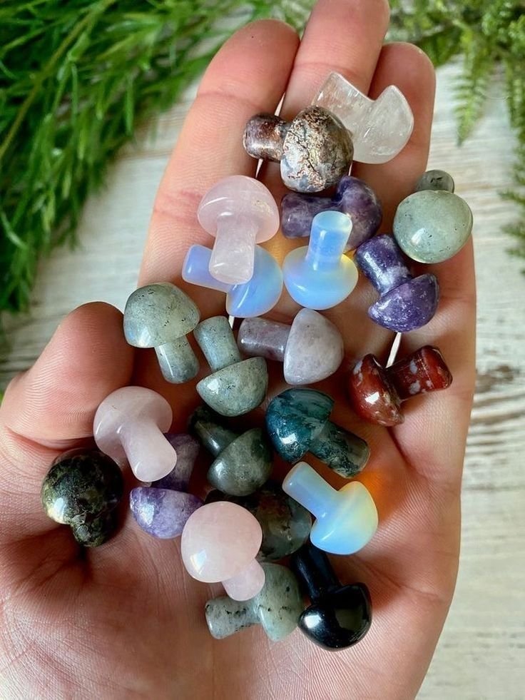 Duck Ducksen tweet media