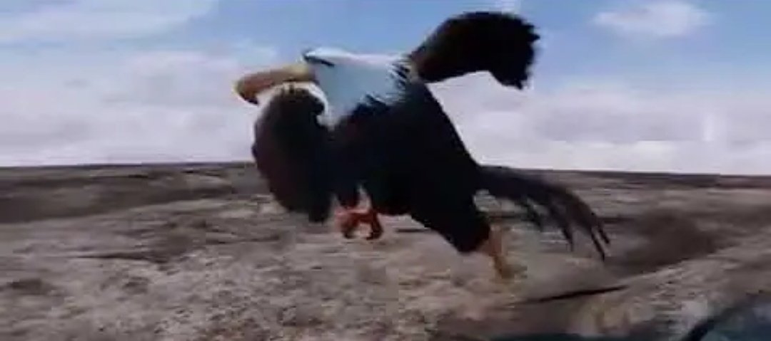 W. D Crøss 🥏 tweet media