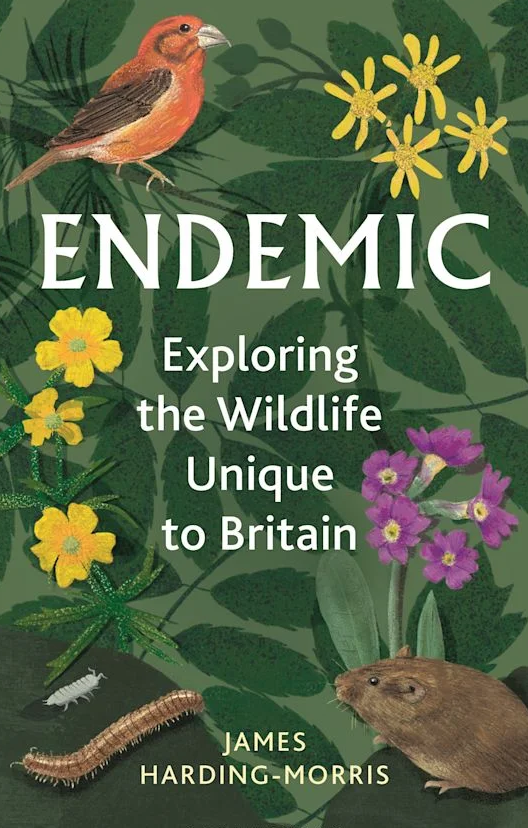 BirdGuides tweet media