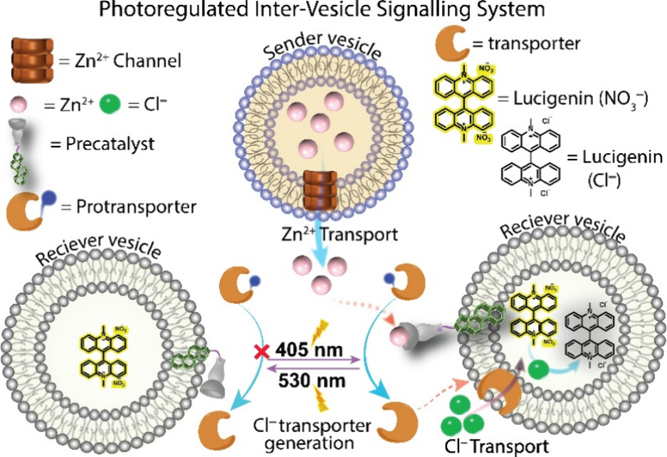 Debasis Manna@IITG tweet media