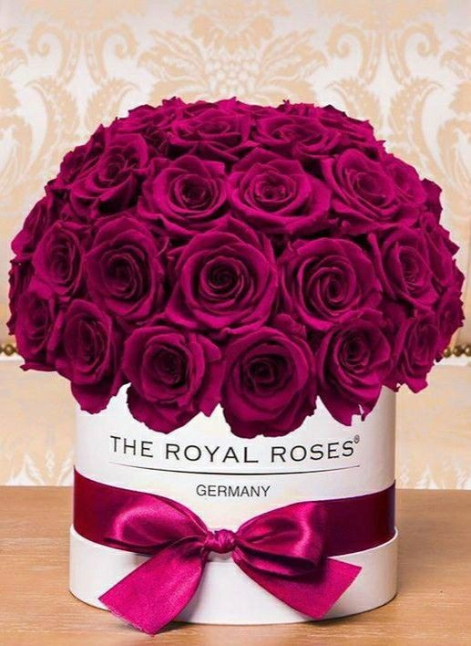 Slađana Mura 969 💔⚓ tweet media