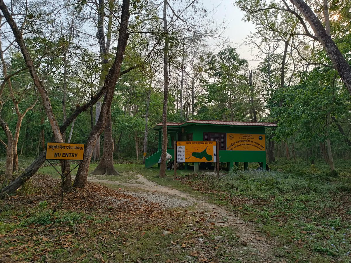 Sanjib Chaudhary tweet media