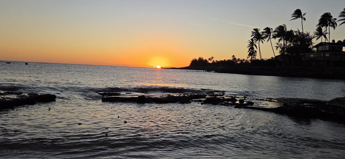 Poe Aloha tweet media