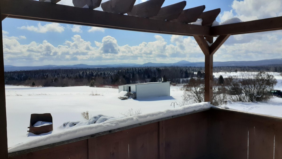 Bruno Vézina tweet media