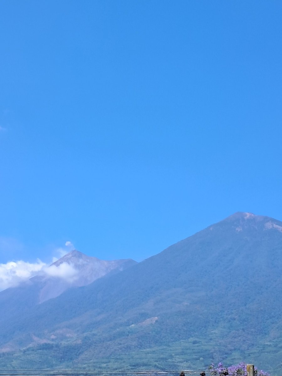 DonJorge tweet media