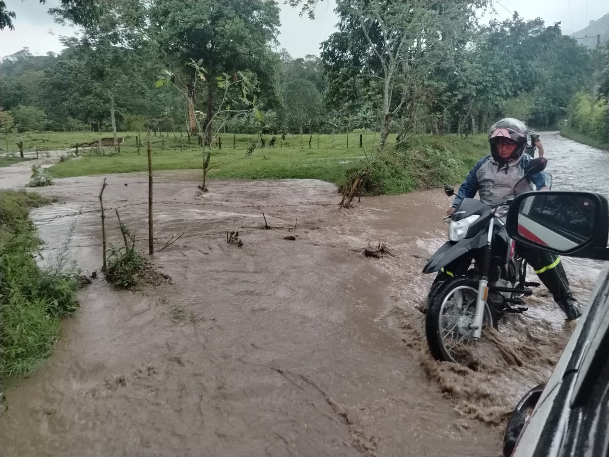 Harry Alexander tweet media