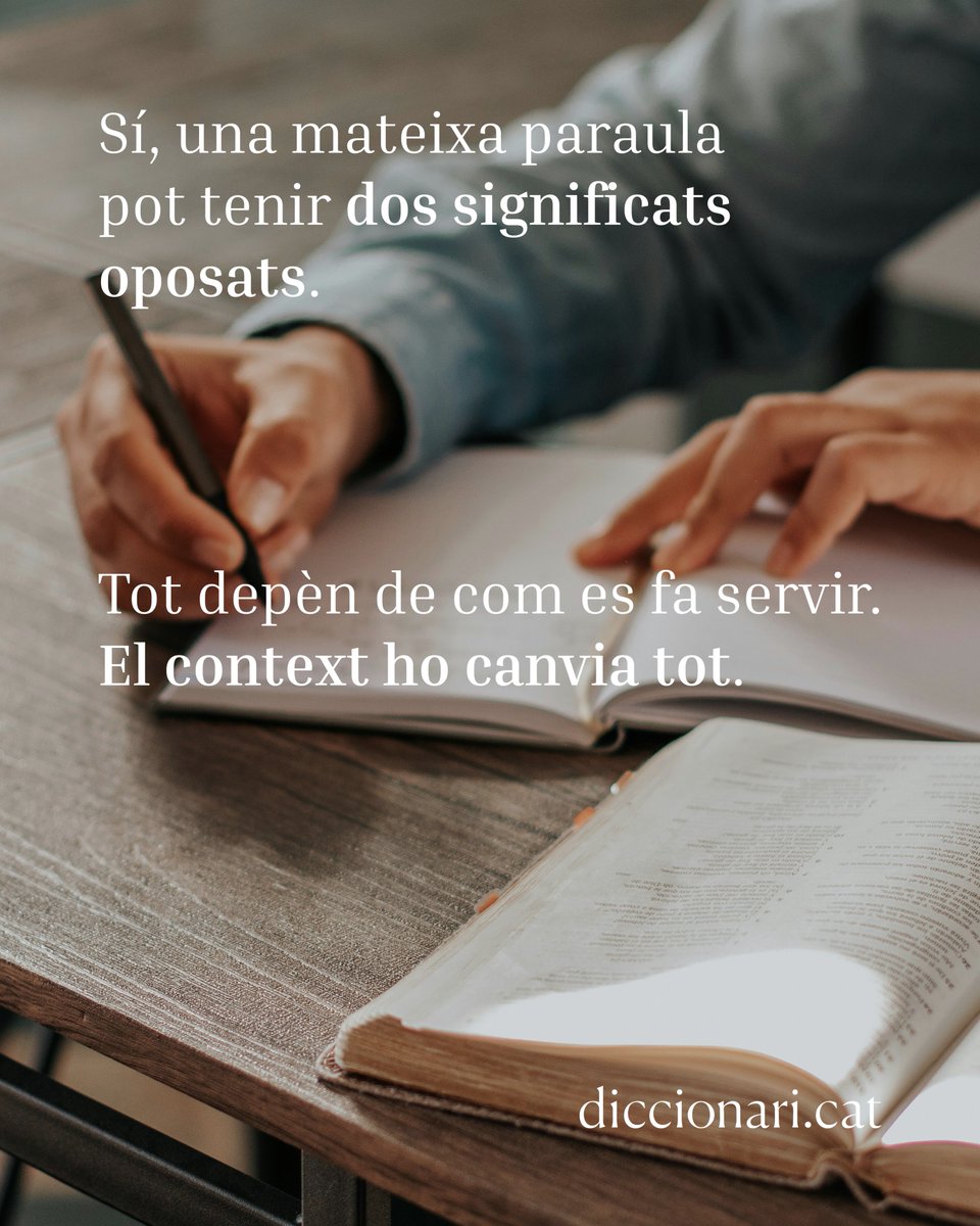 diccionariCAT tweet media