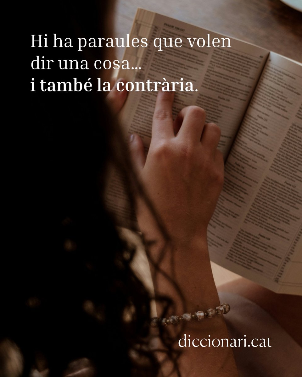 diccionariCAT tweet media