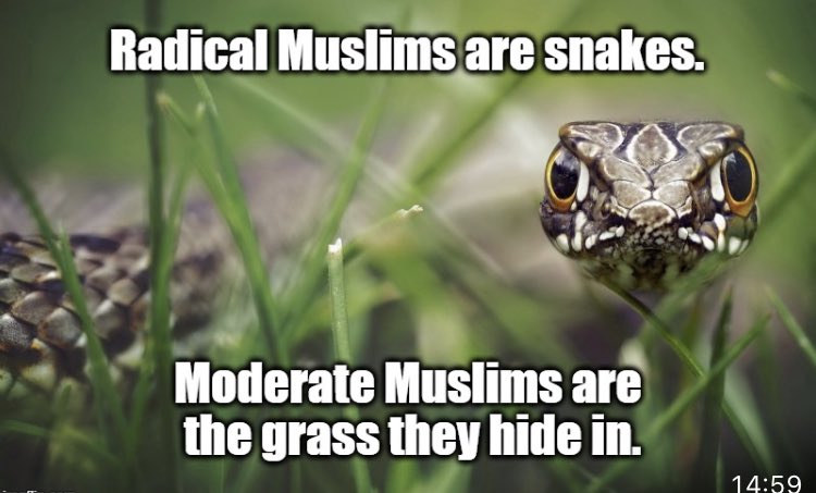 N Ecc 🏴󠁧󠁢󠁥󠁮󠁧󠁿🏴󠁧󠁢󠁥󠁮󠁧󠁿🏴󠁧󠁢󠁥󠁮󠁧󠁿 tweet media