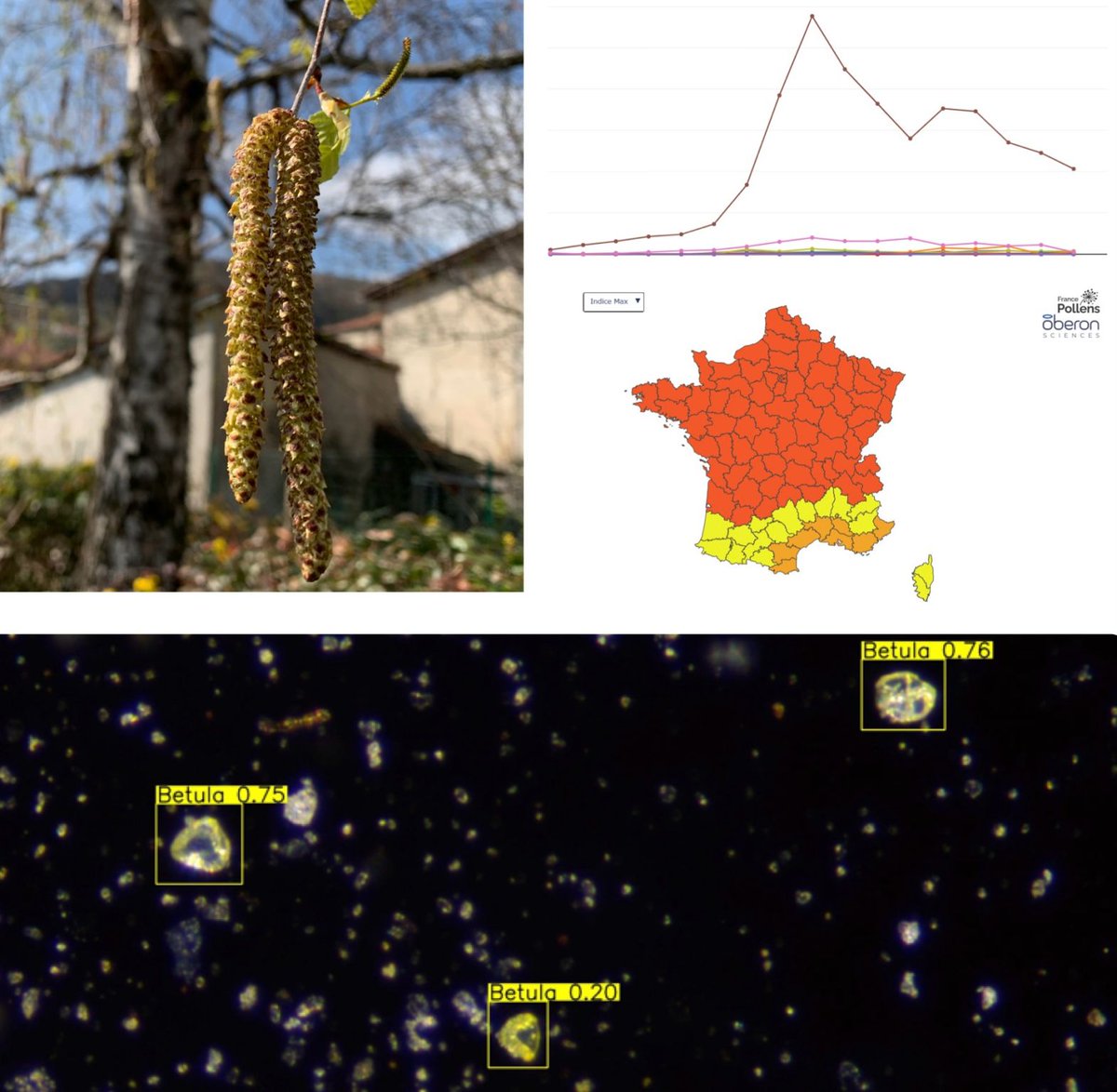 France Pollens tweet media