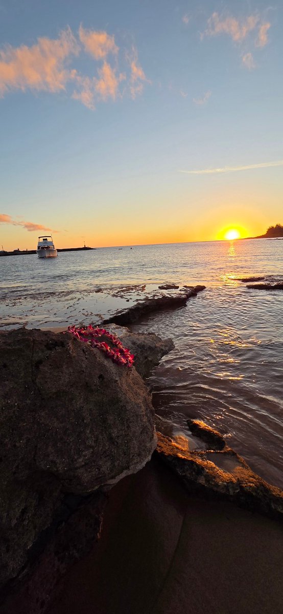 Poe Aloha tweet media