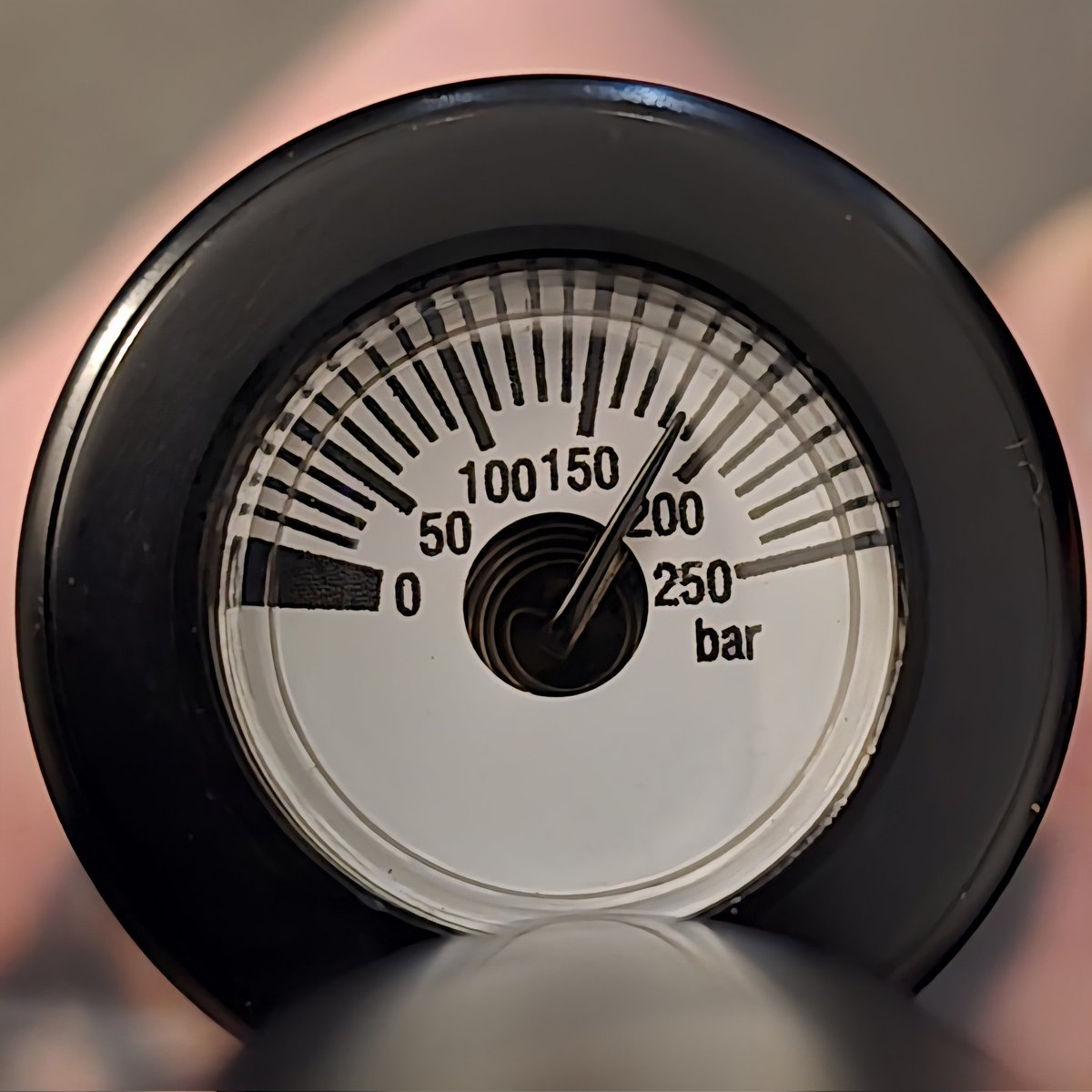 Under- dog tweet media