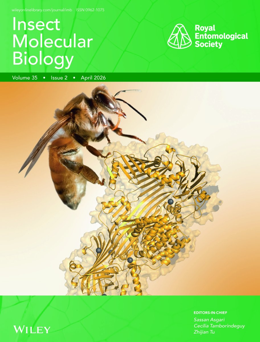 Insect Molecular Biology tweet media