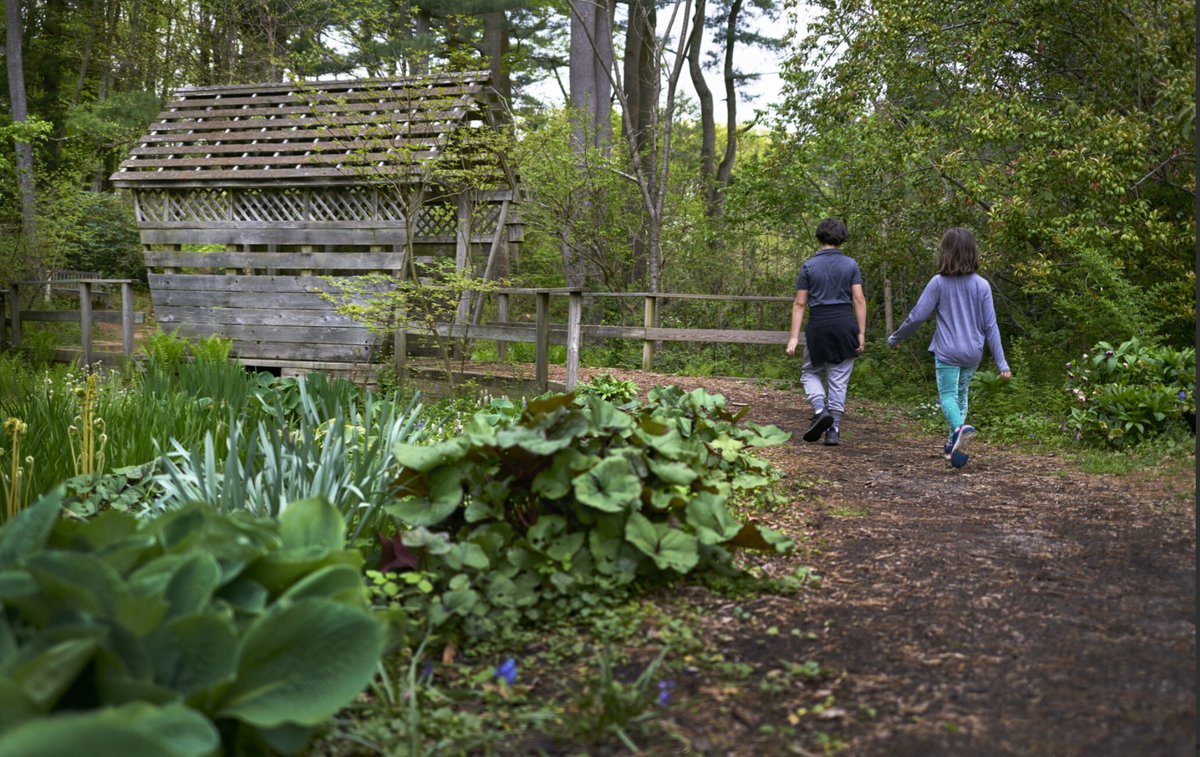 Fly MacArthur tweet media