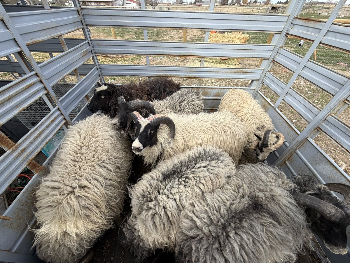 Dale Weaver tweet media