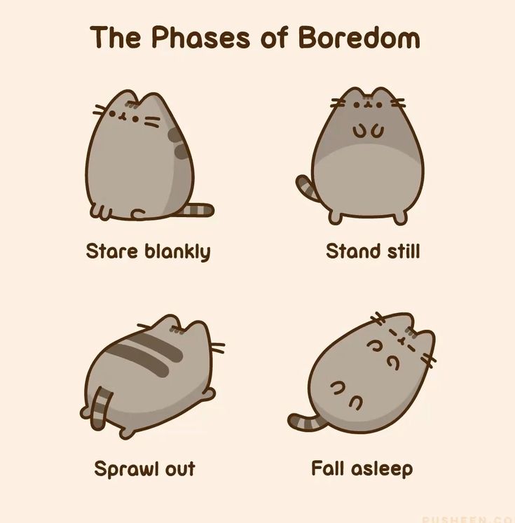 Pusheen parody account tweet media
