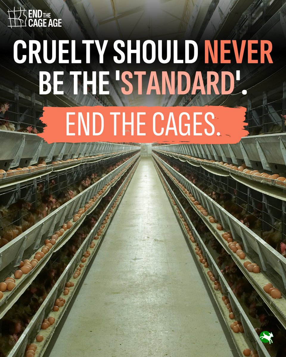 Compassion in World Farming US tweet media