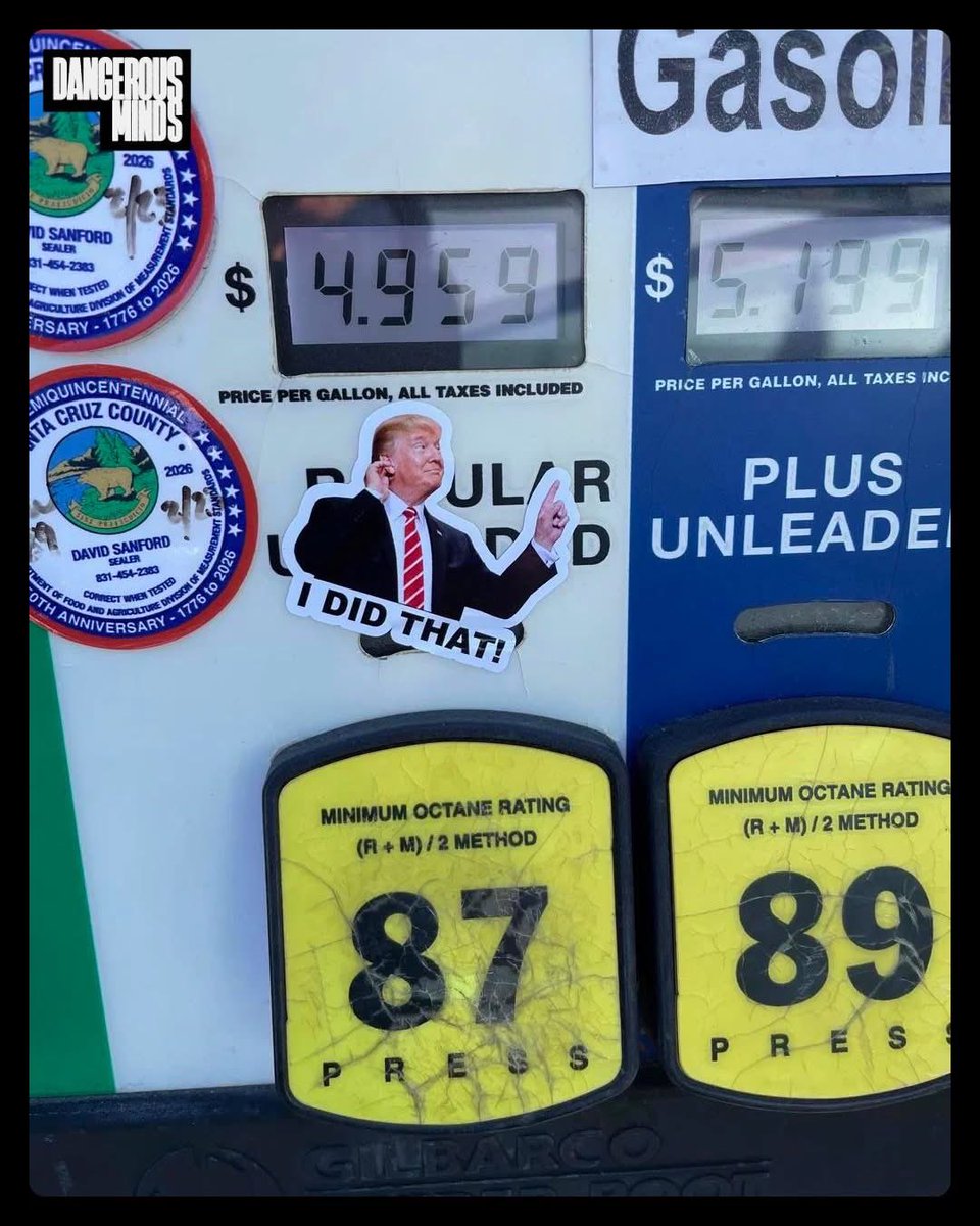 Wolfin' Howl tweet media