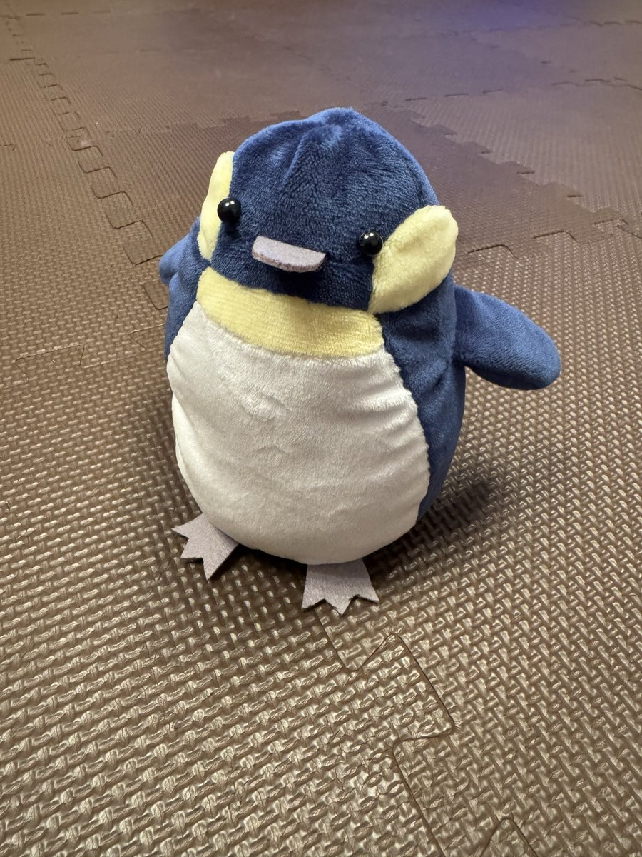 KKeiko_official's tweet photo. 恒例の。
今回はペンギンです🐧
並べるとよりかわいい！

おやすみなさい💤

#綿入れる前撮り忘れた
#痛恨のミス
#花粉のせい https://t.co/m4YuLDb8W0