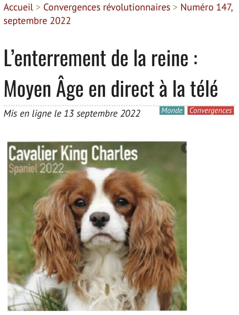 machine probable tweet media