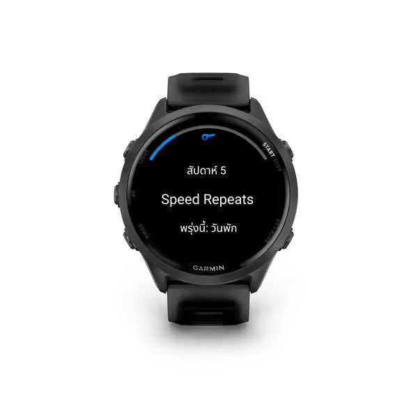 catto 1945 tweet media