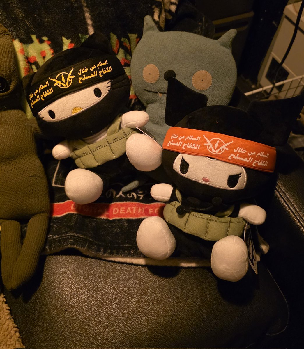 Eris🪤 tweet media