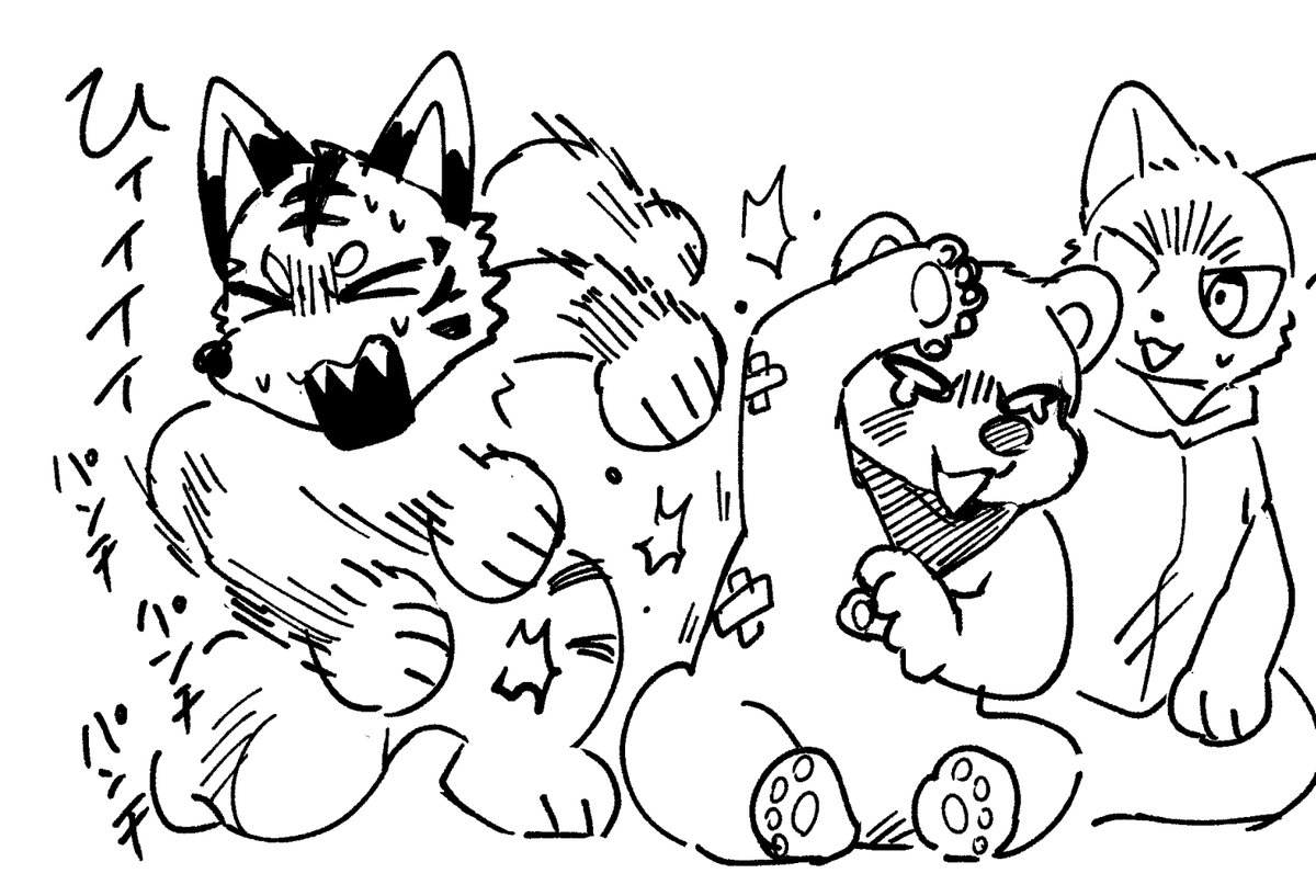 Dr.ボンきち (@bomb_bonkitty) on Twitter photo 