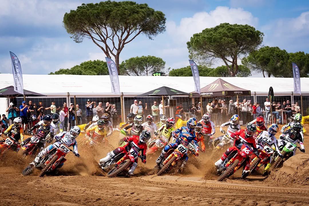 Francisco Romero I WildLife Photographer tweet media